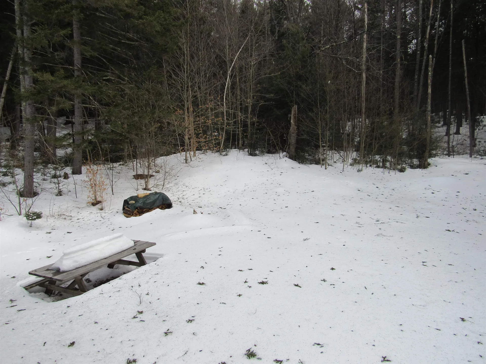 466 Wheeler Road Windham VT 05359