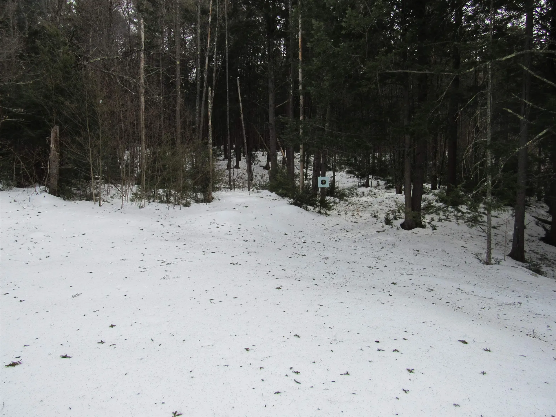 466 Wheeler Road Windham VT 05359