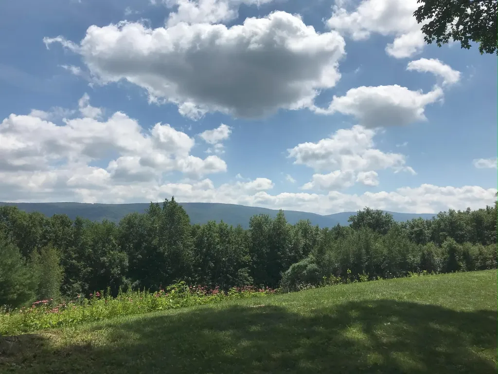 294 Green Peak Orchard S Dorset VT 05251