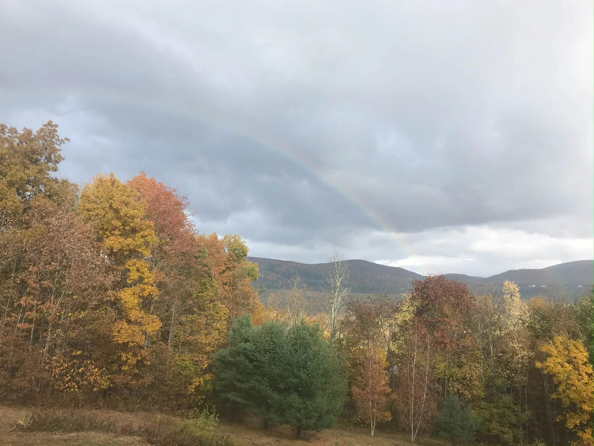 294 Green Peak Orchard S Dorset VT 05251