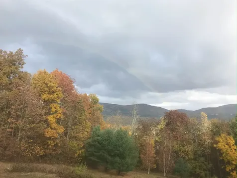 294 Green Peak Orchard S Dorset VT 05251