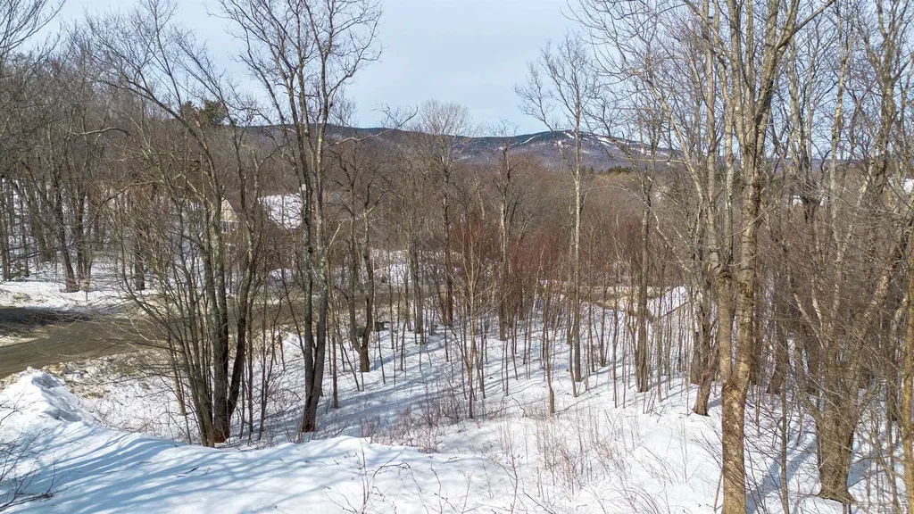 37 Spring Hill Road Dover VT 05356