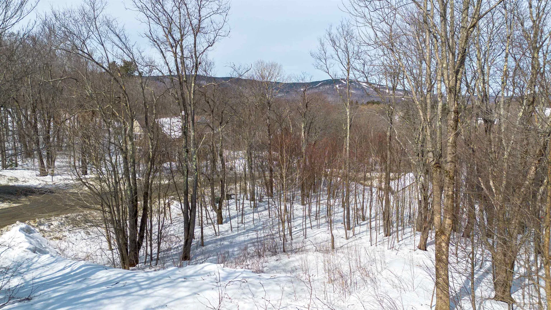 37 Spring Hill Road Dover VT 05356