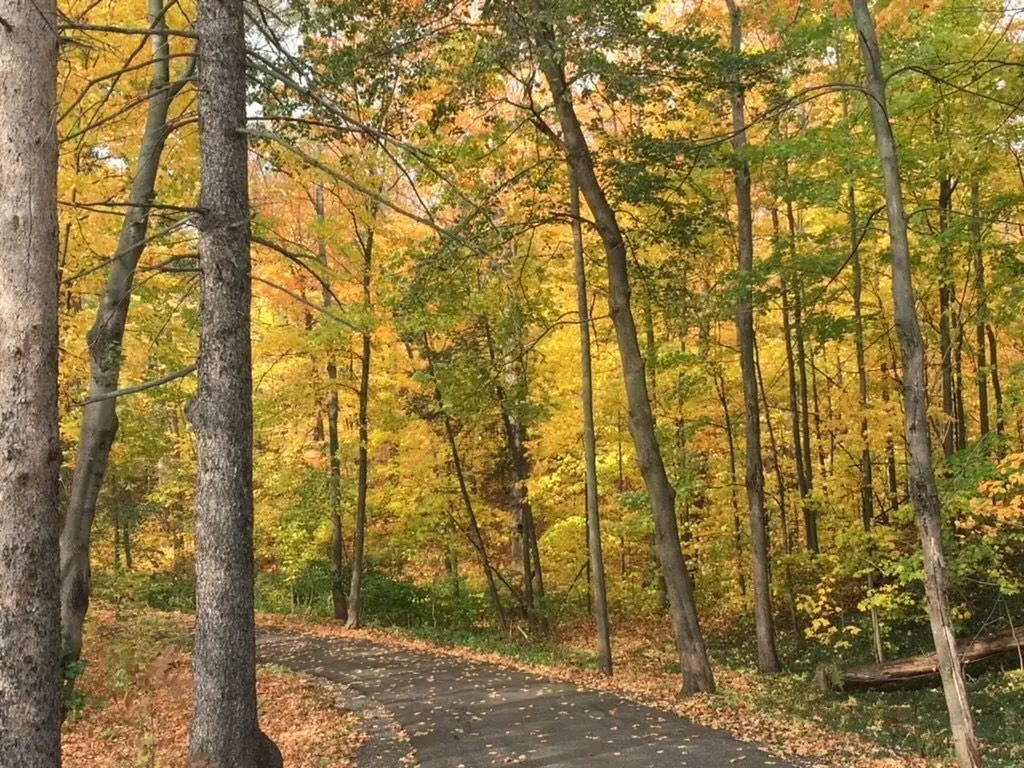 329 Caswell Avenue Derby VT 05830