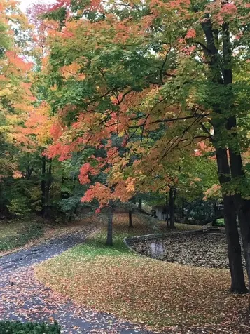 329 Caswell Avenue Derby VT 05830