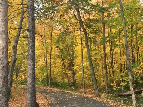 329 Caswell Avenue Derby VT 05830