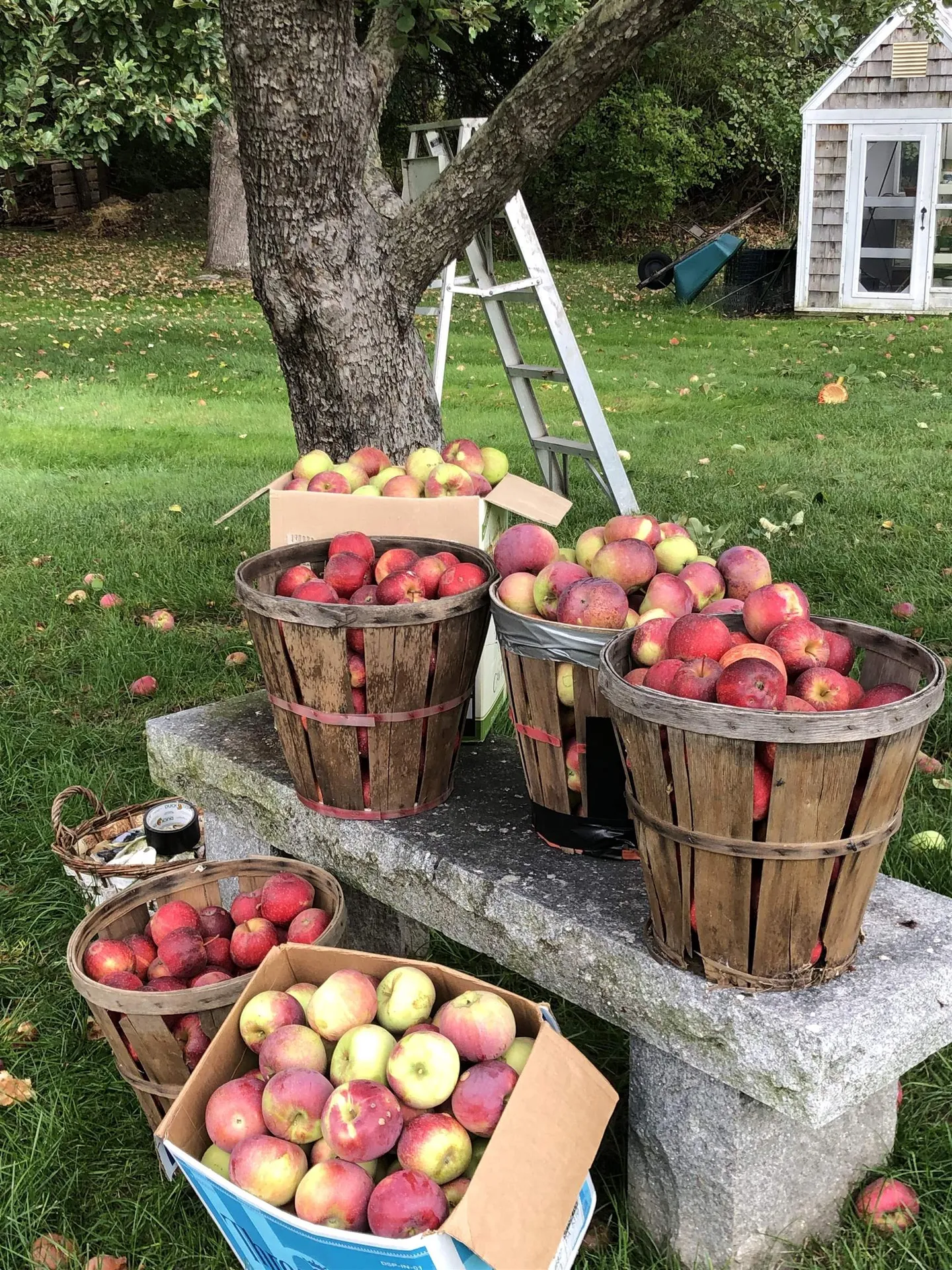 139 Hopkinton Road Concord NH 03301