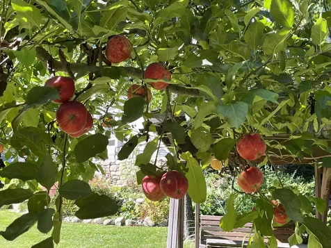 139 Hopkinton Road Concord NH 03301