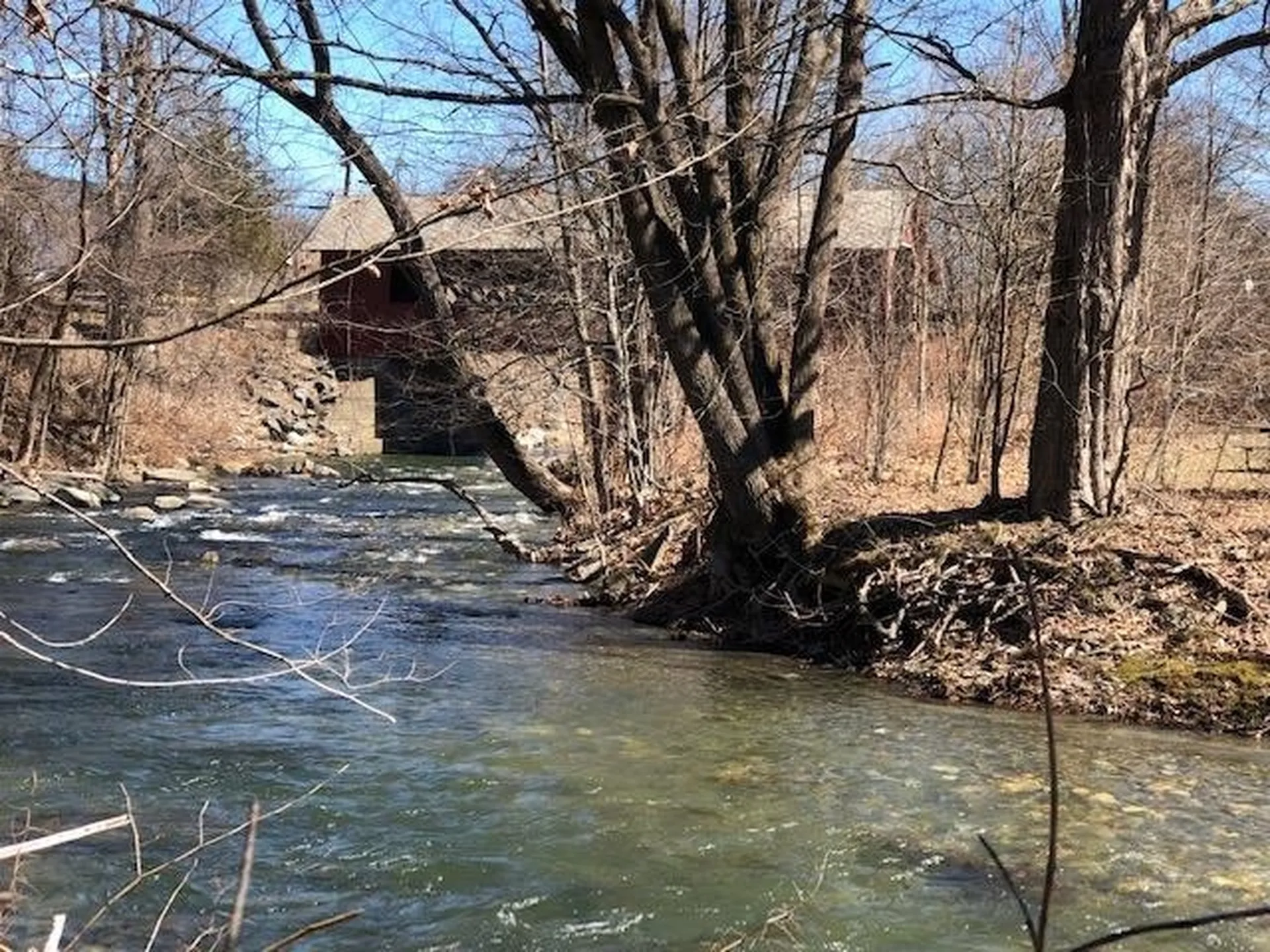 39 Brookside Drive Brattleboro VT 05301