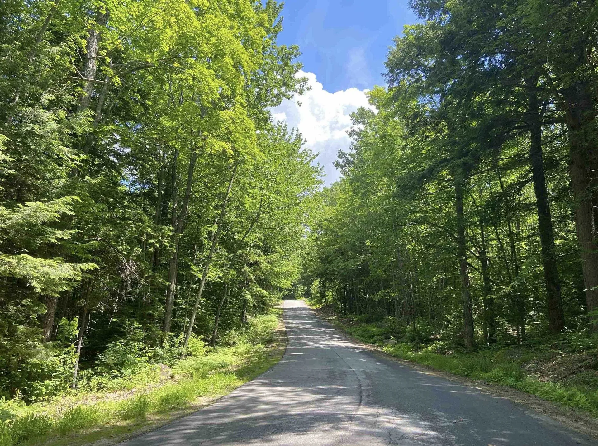 130 Sandwich Slopes Road Sandwich NH 03227