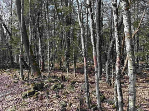 Page Hill Road Lancaster NH 03584