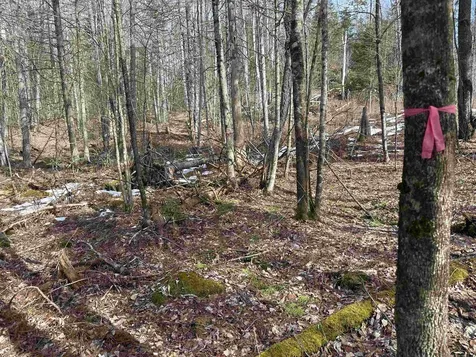 Page Hill Road Lancaster NH 03584