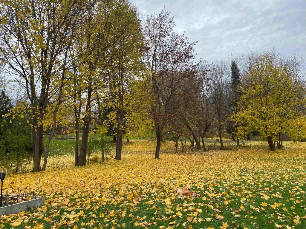 63 Lafountain Street Winooski VT 05404