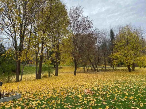 63 Lafountain Street Winooski VT 05404