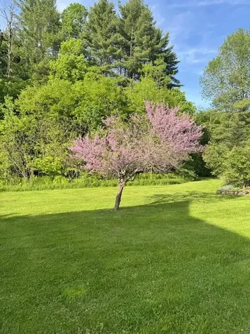 484 Carlton Hill Road Woodstock VT 05091