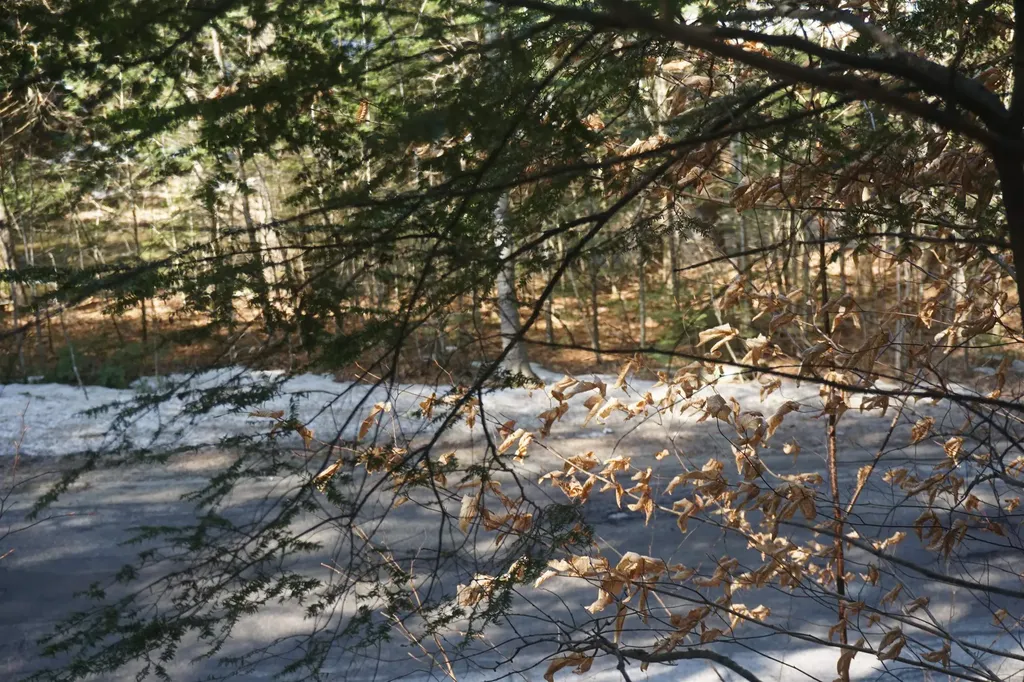 00 Stage Road Unity NH 03603