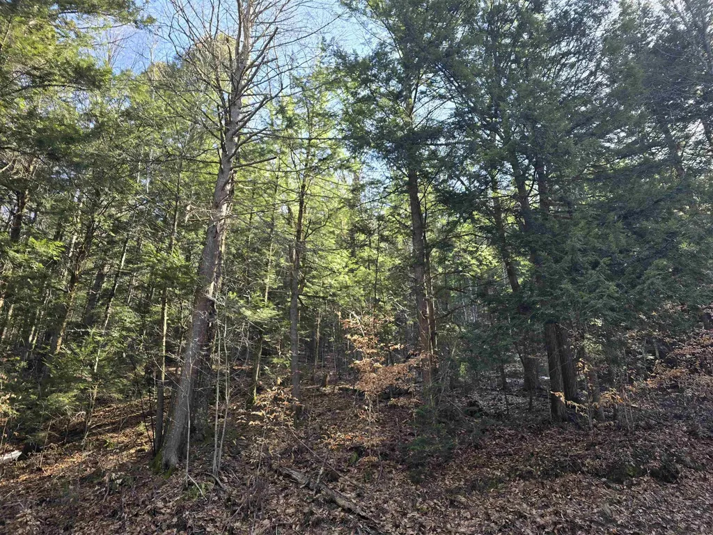 00 Stage Road Unity NH 03603