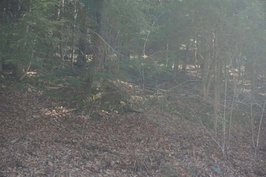 00 Stage Road Unity NH 03603