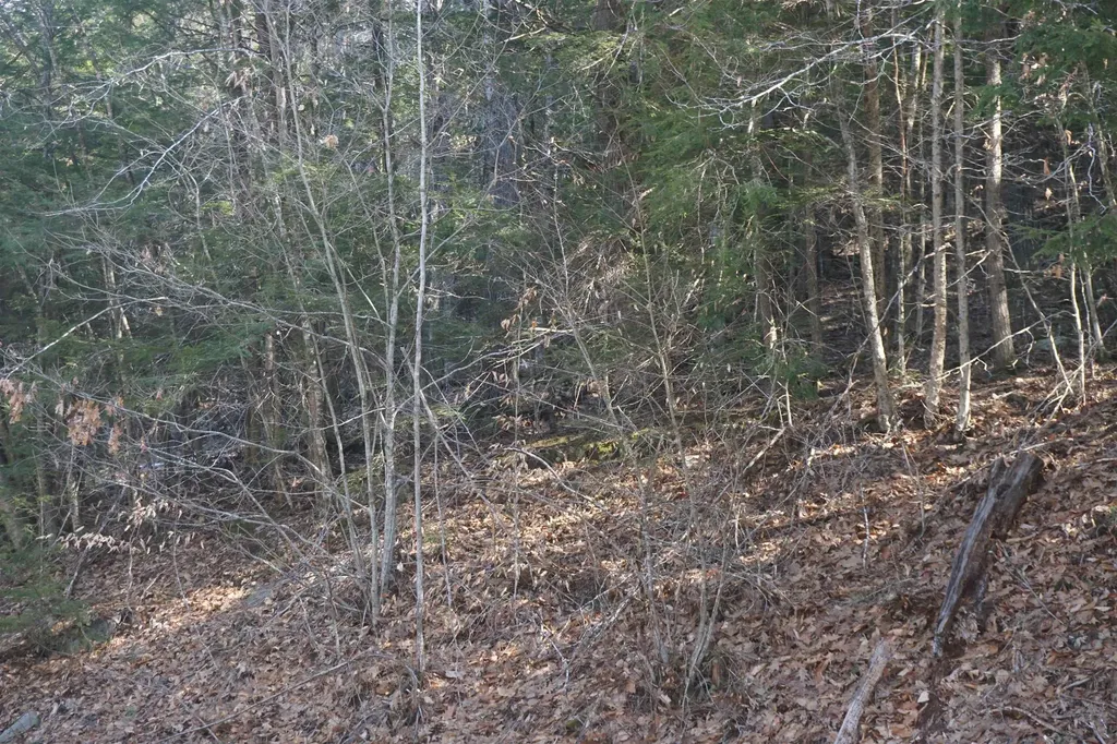 00 Stage Road Unity NH 03603