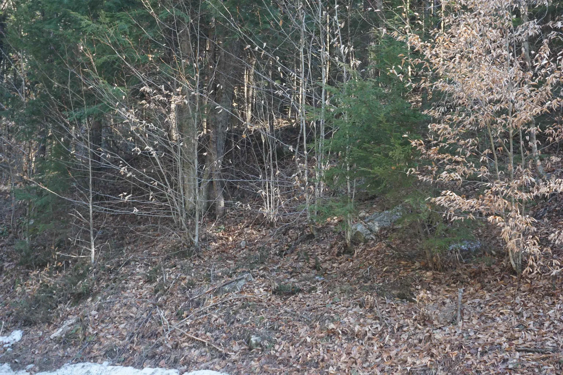 00 Stage Road Unity NH 03603