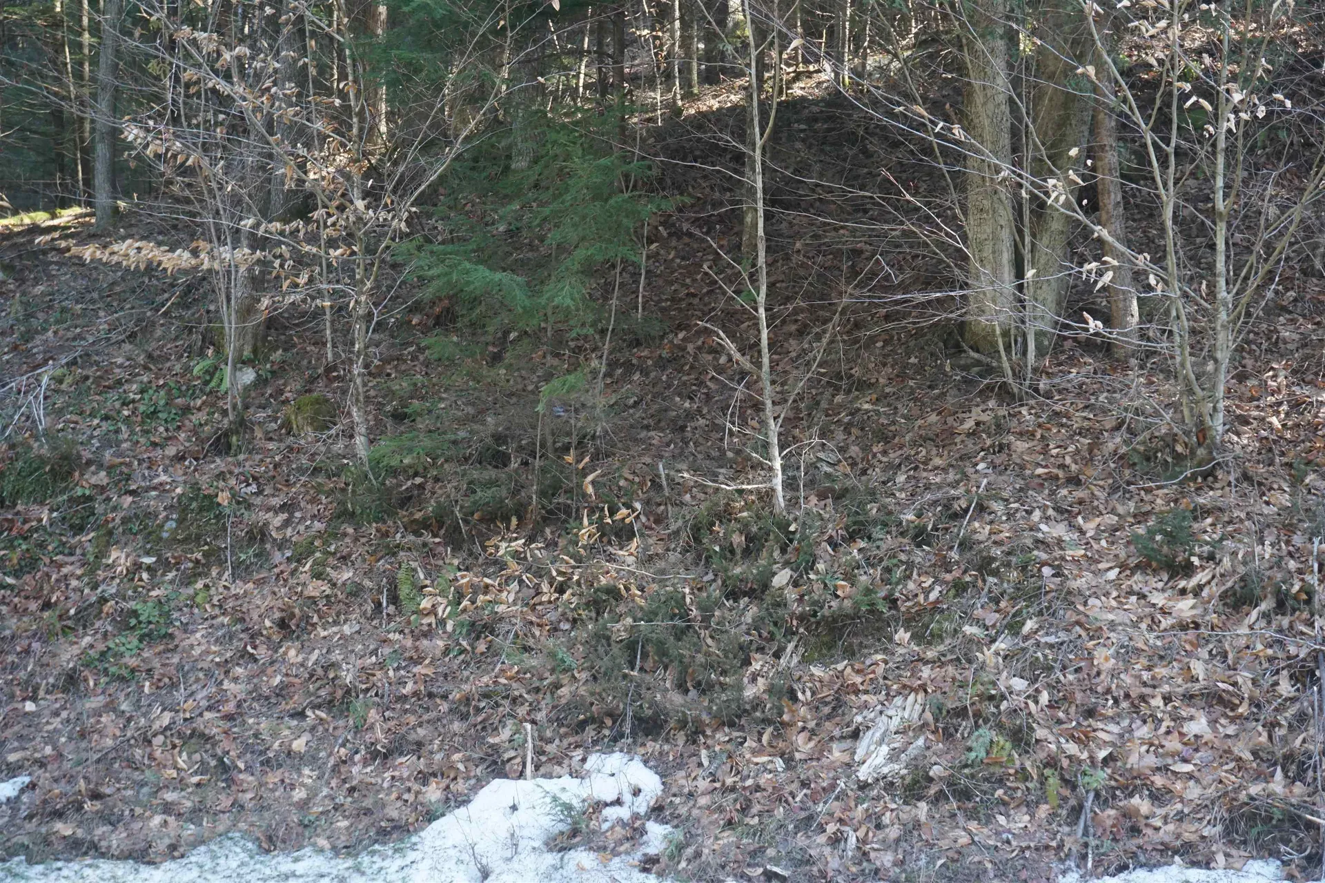 00 Stage Road Unity NH 03603