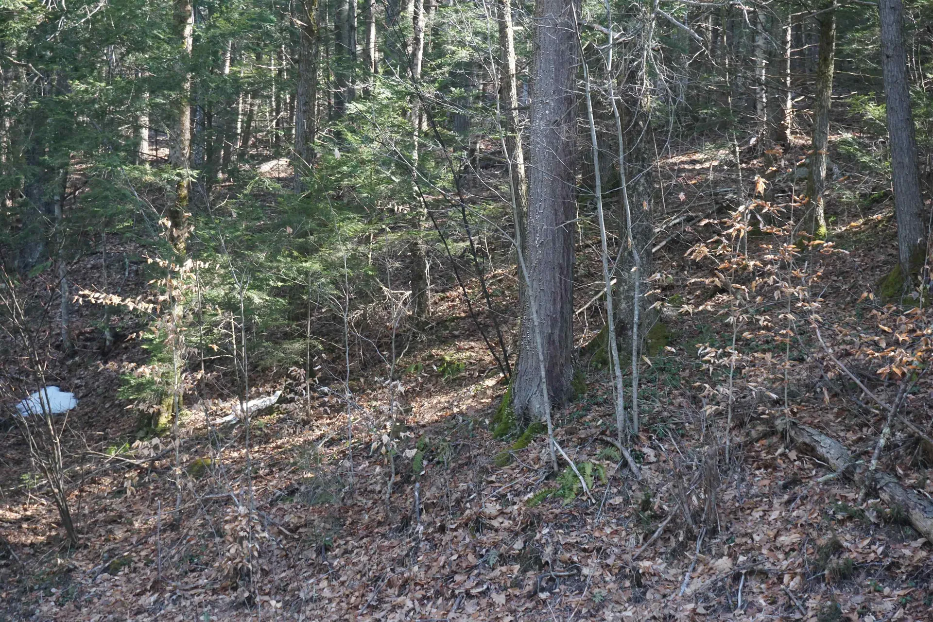 00 Stage Road Unity NH 03603