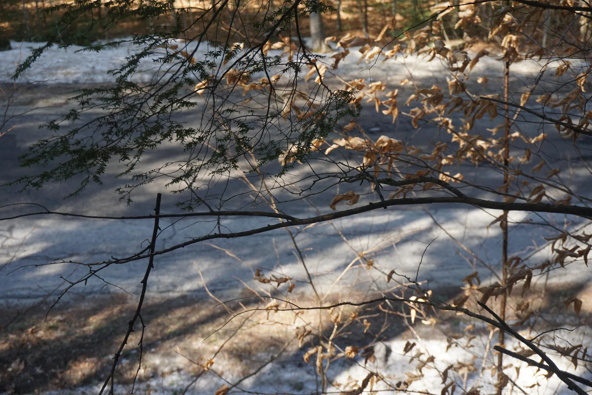 00 Stage Road Unity NH 03603