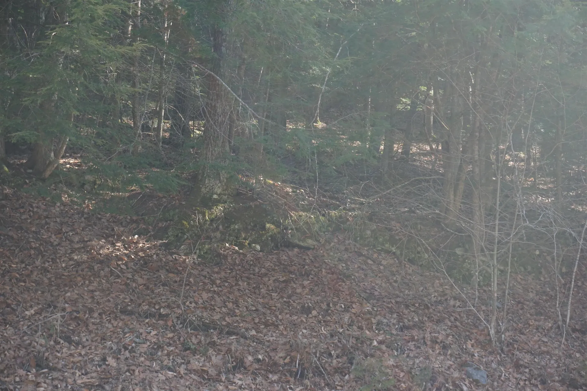 00 Stage Road Unity NH 03603