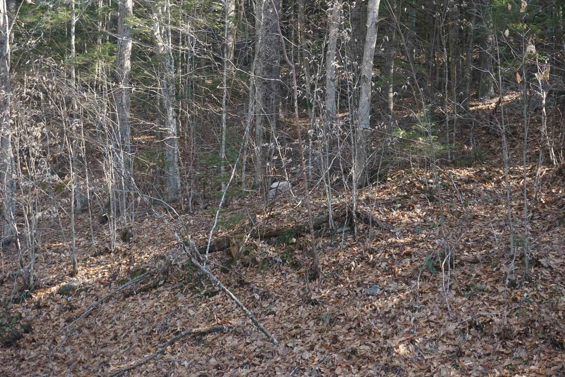 00 Stage Road Unity NH 03603