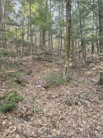 00 Stage Road Unity NH 03603