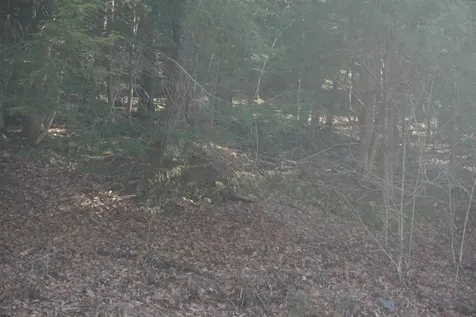 00 Stage Road Unity NH 03603