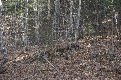 00 Stage Road Unity NH 03603