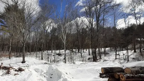 1883 Plains Road Weathersfield VT 05151