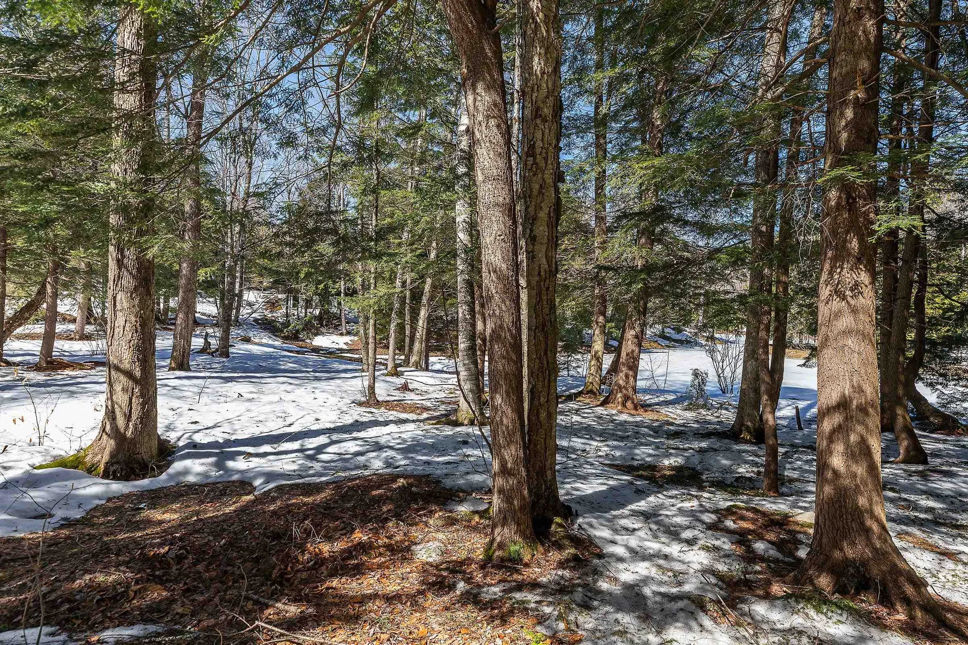 11 Pond View Road Winhall VT 05340