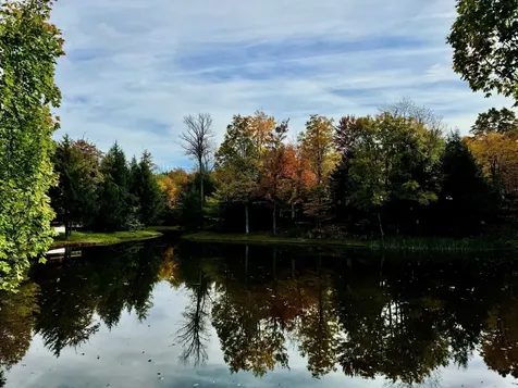 11 Pond View Road Winhall VT 05340