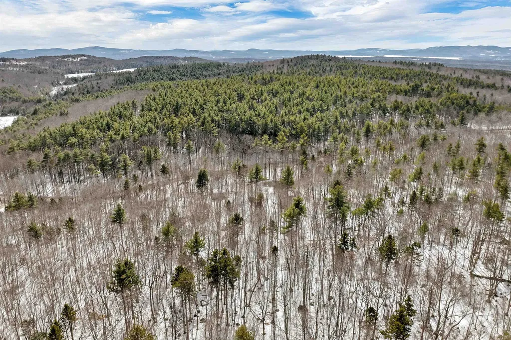 99 Brown Road Tuftonboro NH 03816