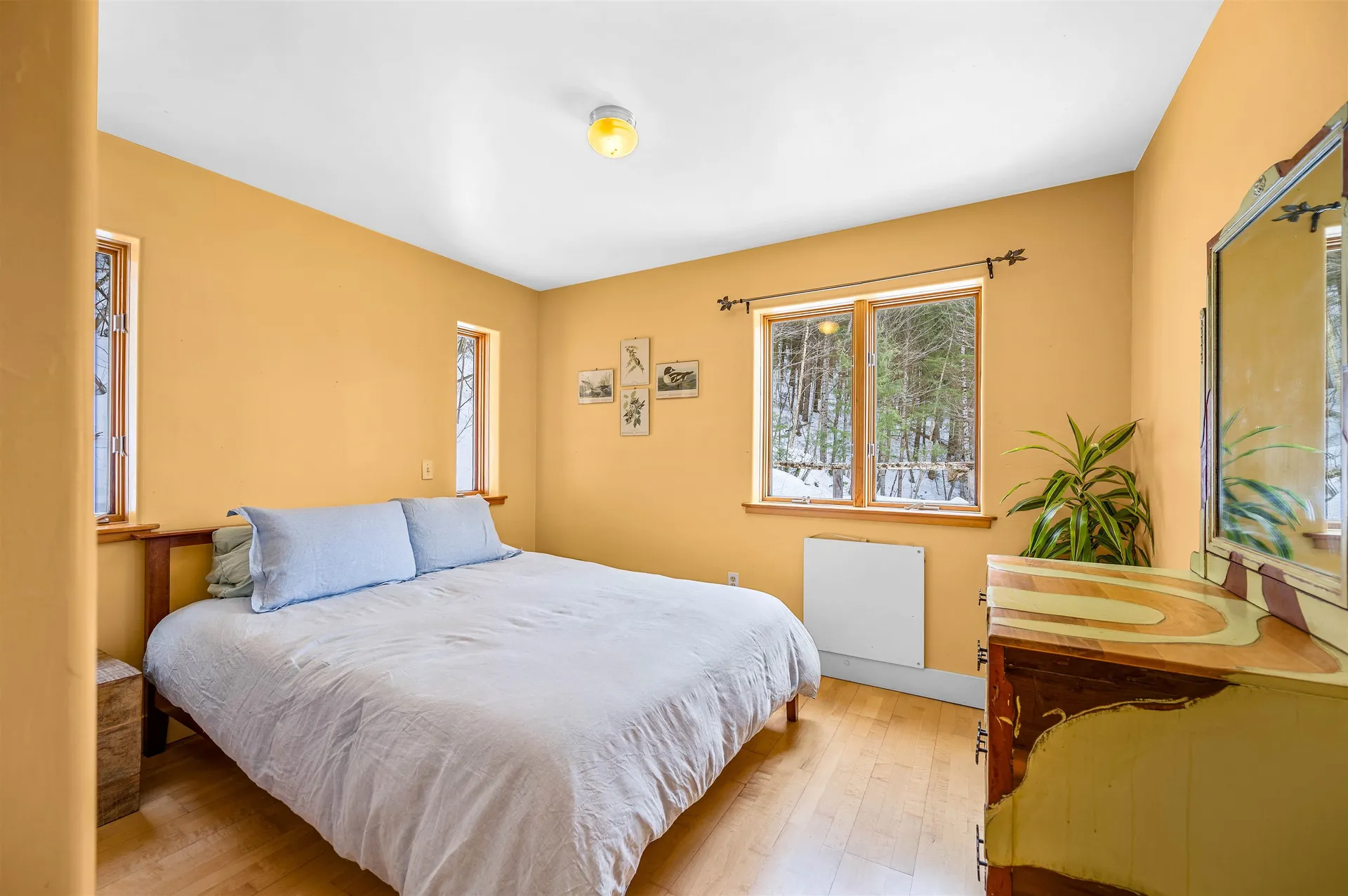 217 Brook Road Middlesex VT 05602