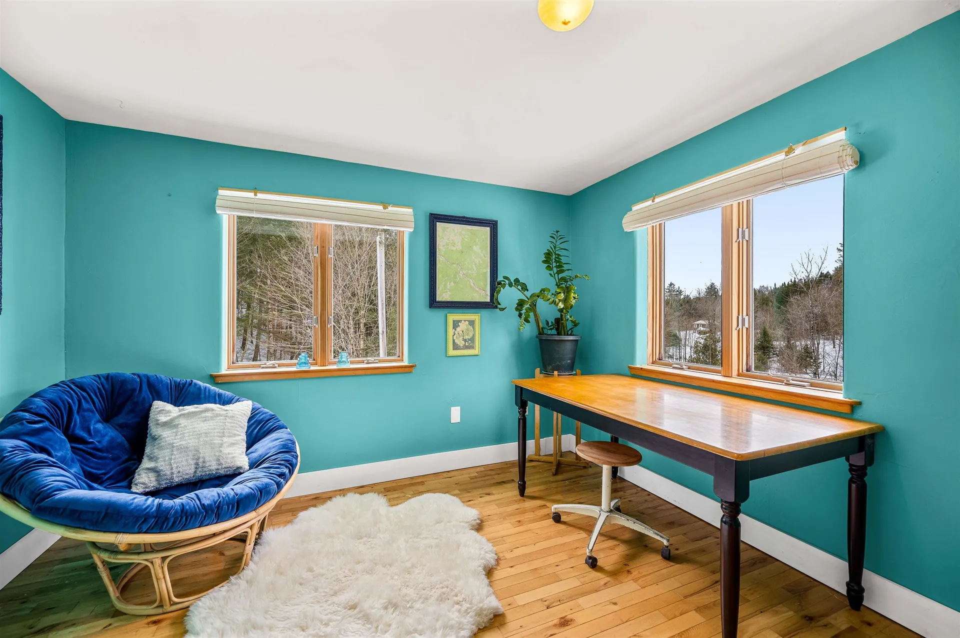 217 Brook Road Middlesex VT 05602