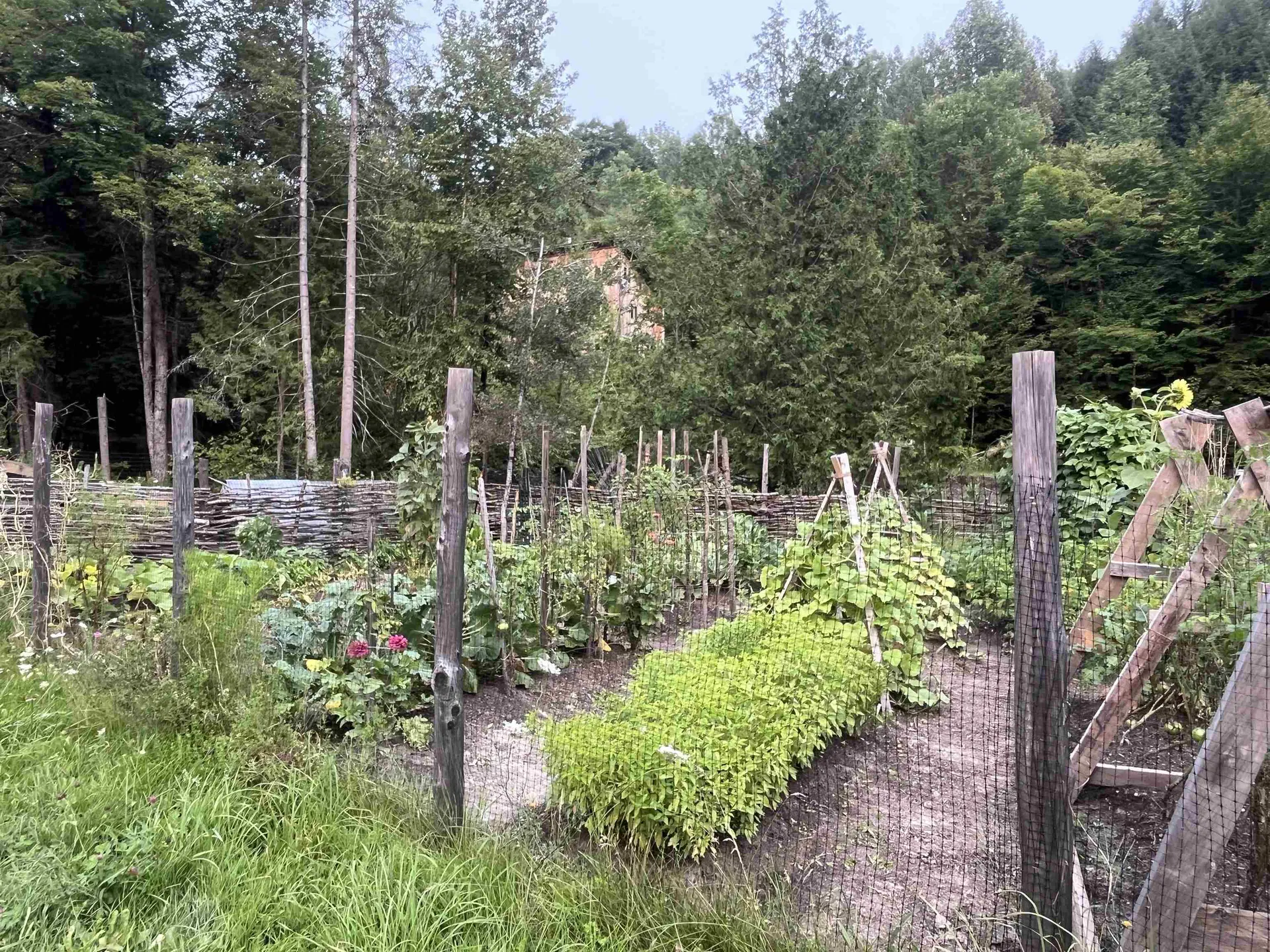 217 Brook Road Middlesex VT 05602