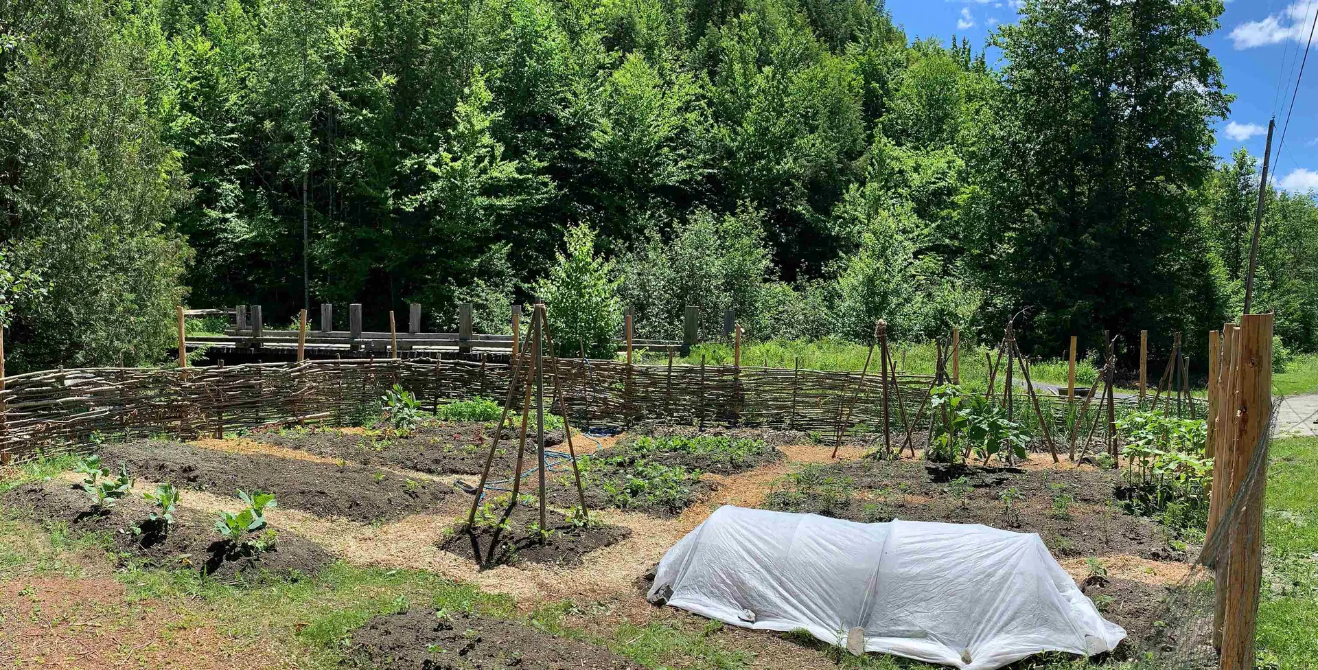 217 Brook Road Middlesex VT 05602