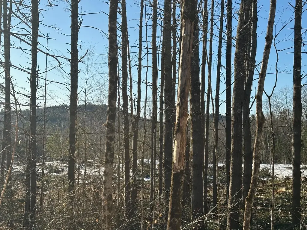 00 Thurley Road Ossipee NH 03814