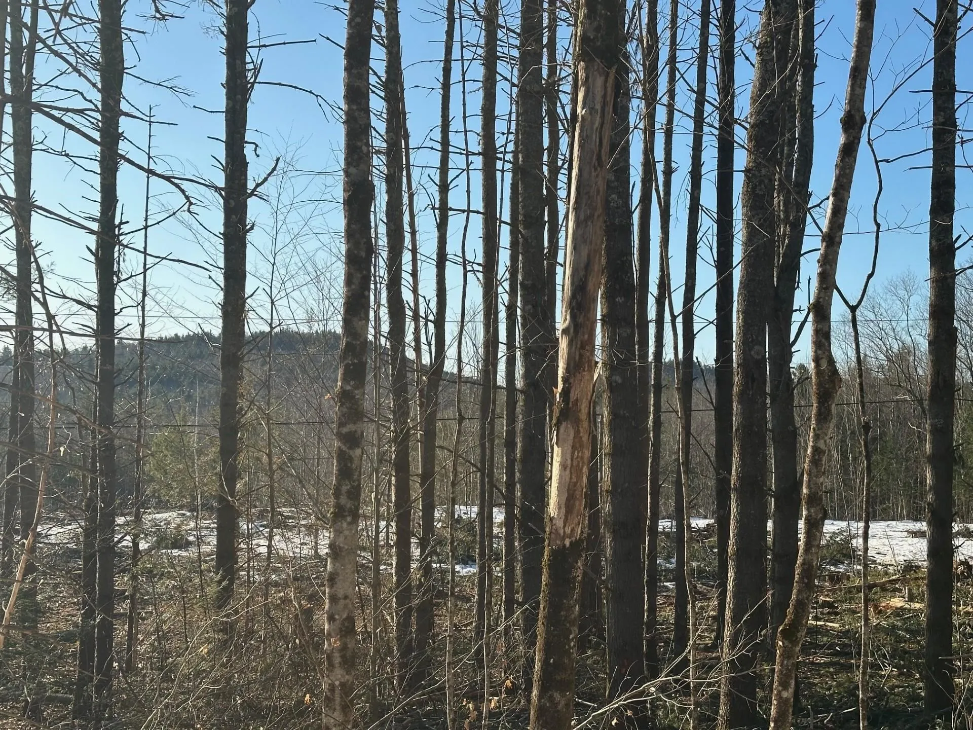 00 Thurley Road Ossipee NH 03814