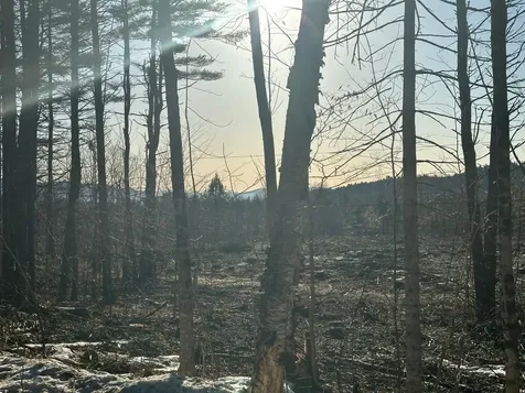 00 Thurley Road Ossipee NH 03814
