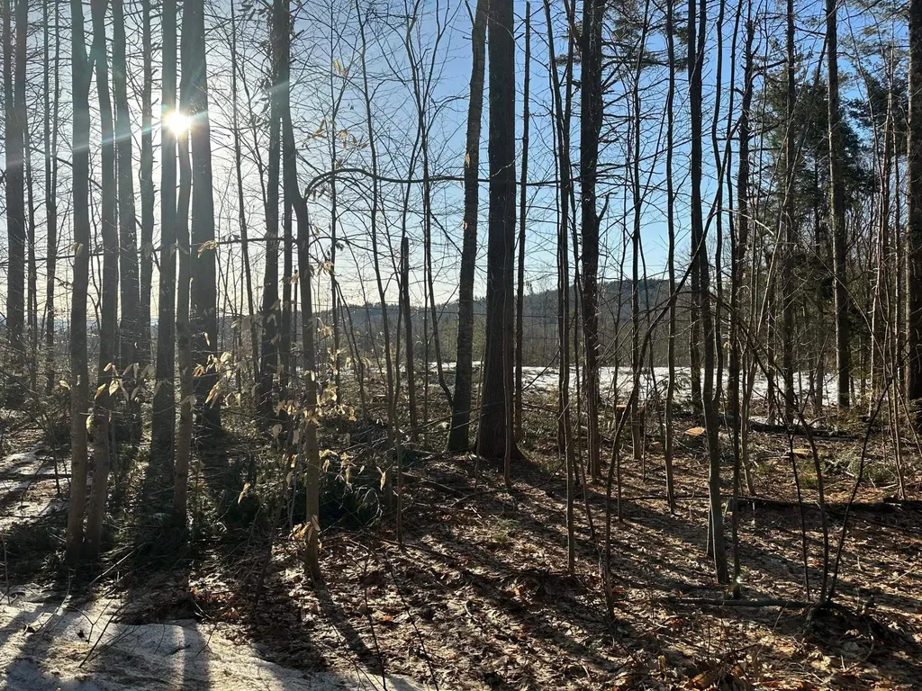 00 Thurley Road Ossipee NH 03814