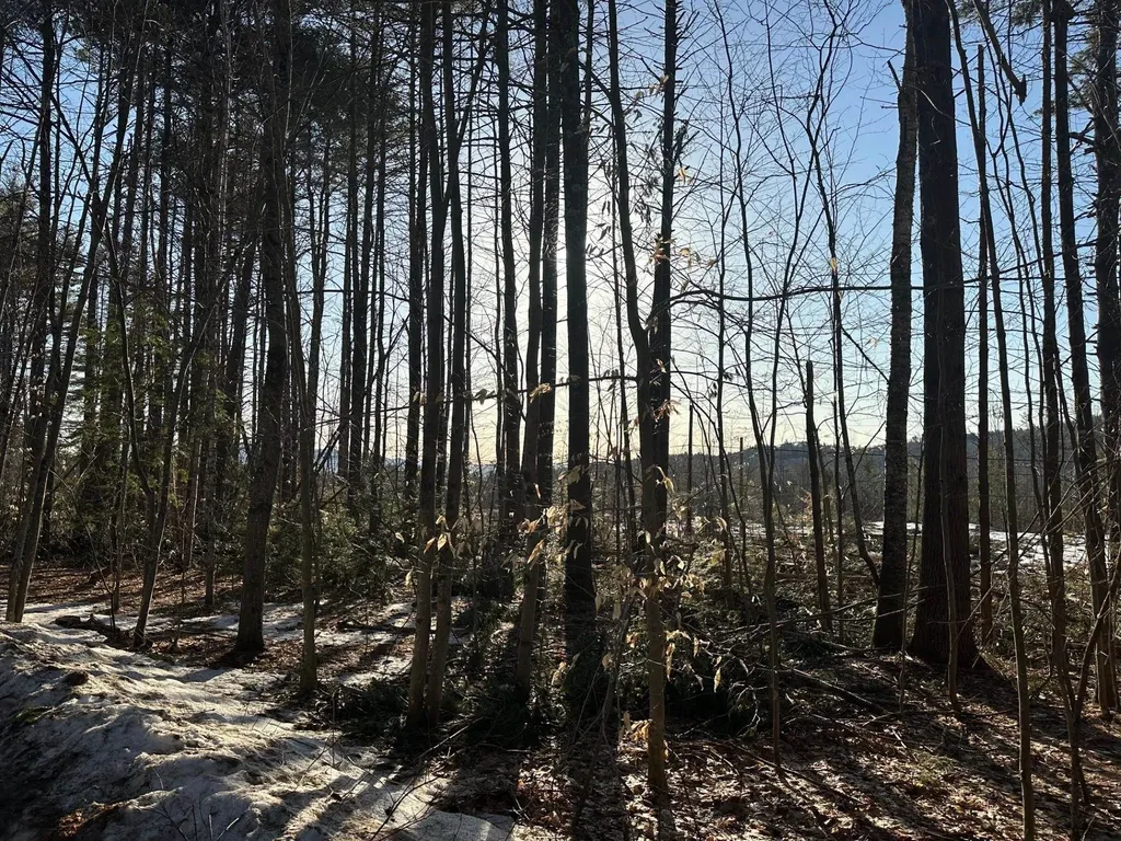 00 Thurley Road Ossipee NH 03814