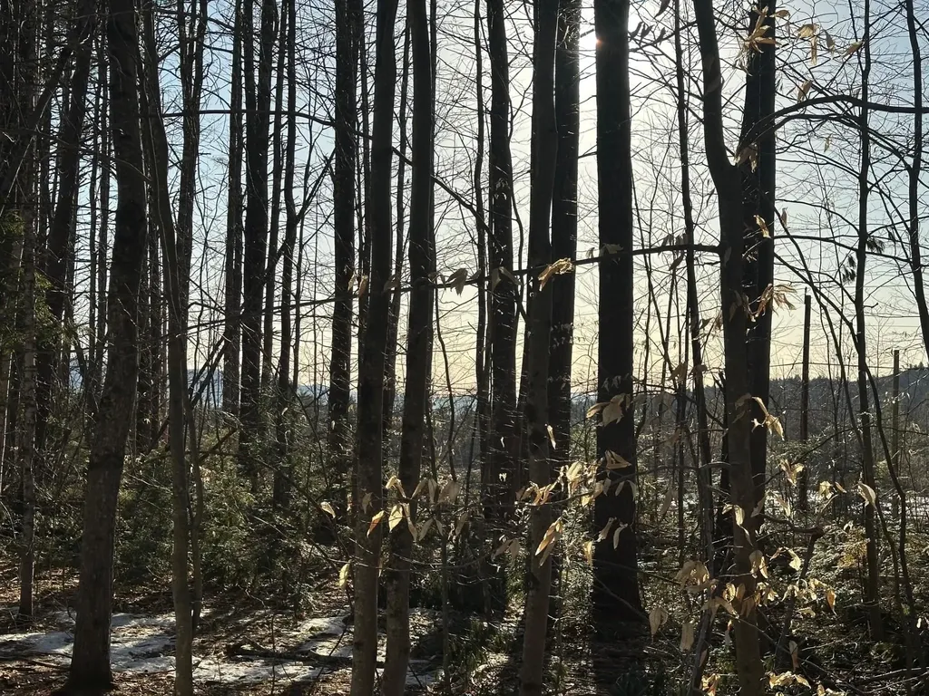 00 Thurley Road Ossipee NH 03814