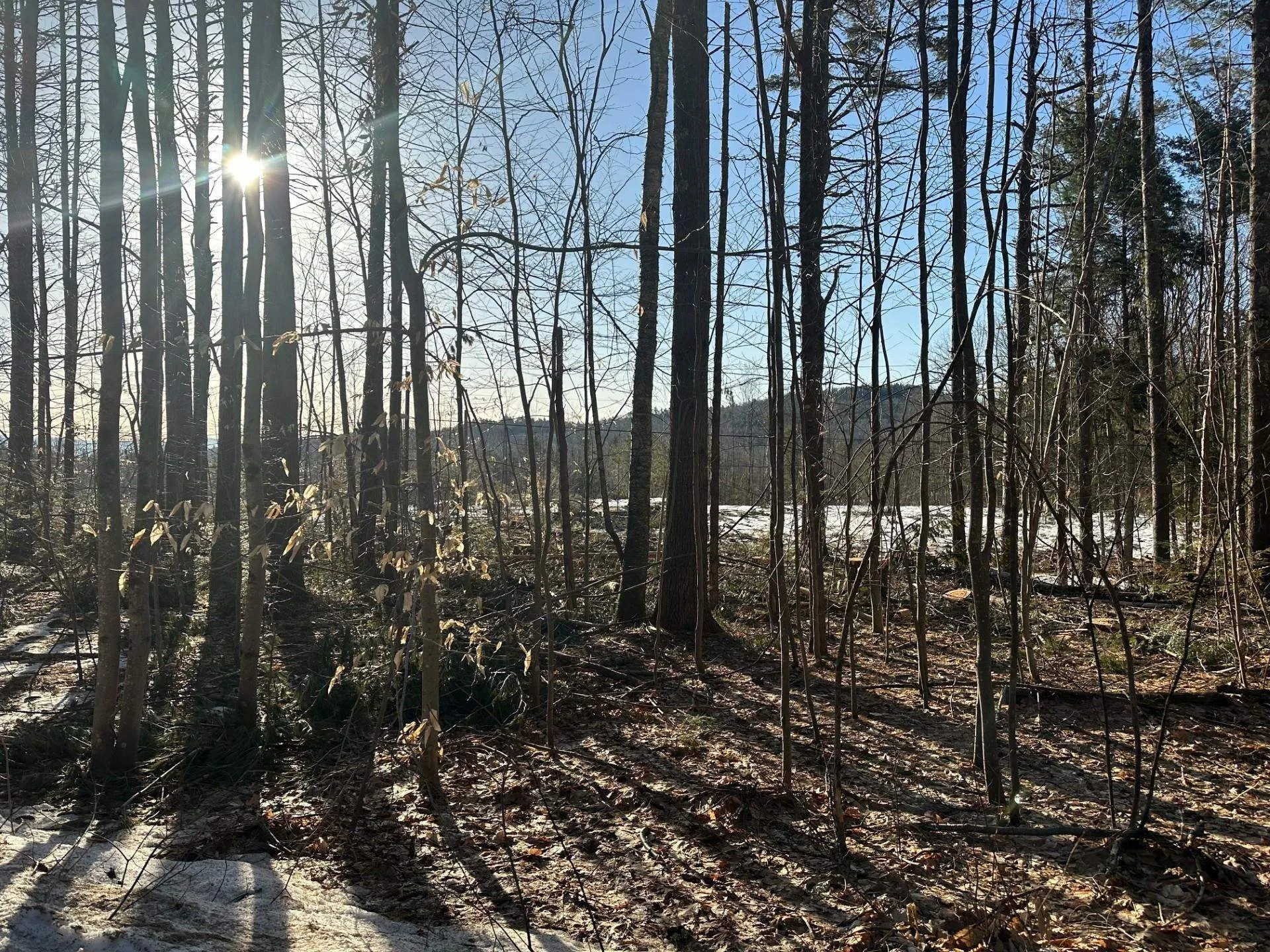 00 Thurley Road Ossipee NH 03814