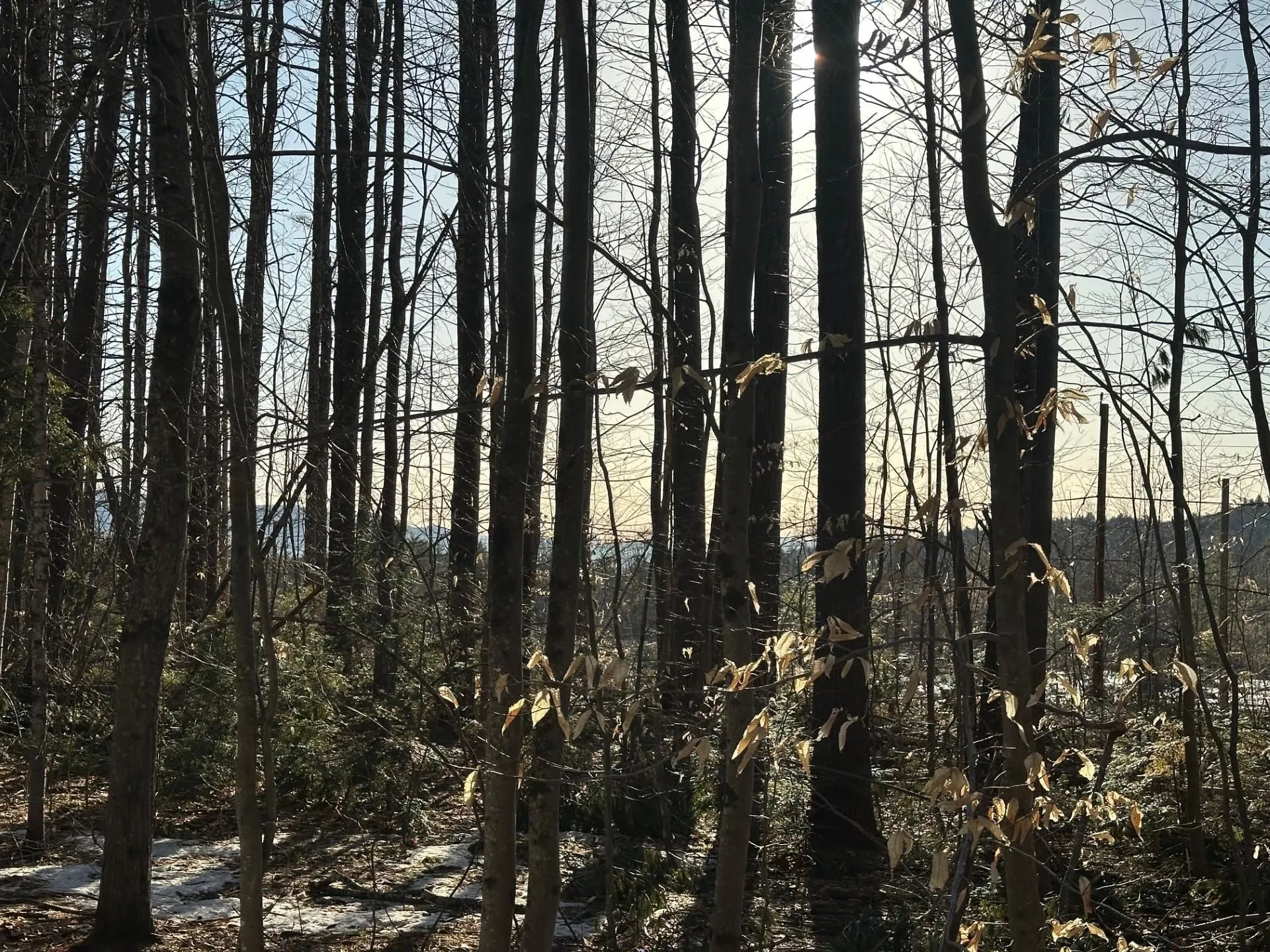 00 Thurley Road Ossipee NH 03814