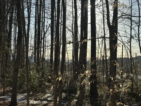 00 Thurley Road Ossipee NH 03814