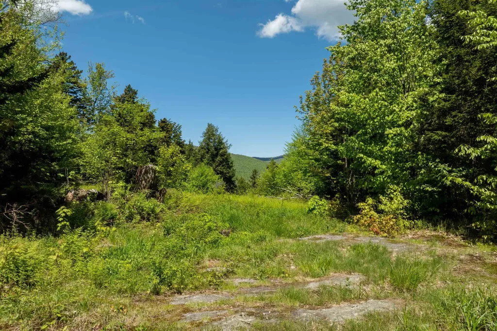 0 Turtle Hill Road Ludlow VT 05149